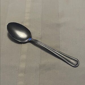 Walco Stainless Classic Silver Spoon with Beaded Edge
